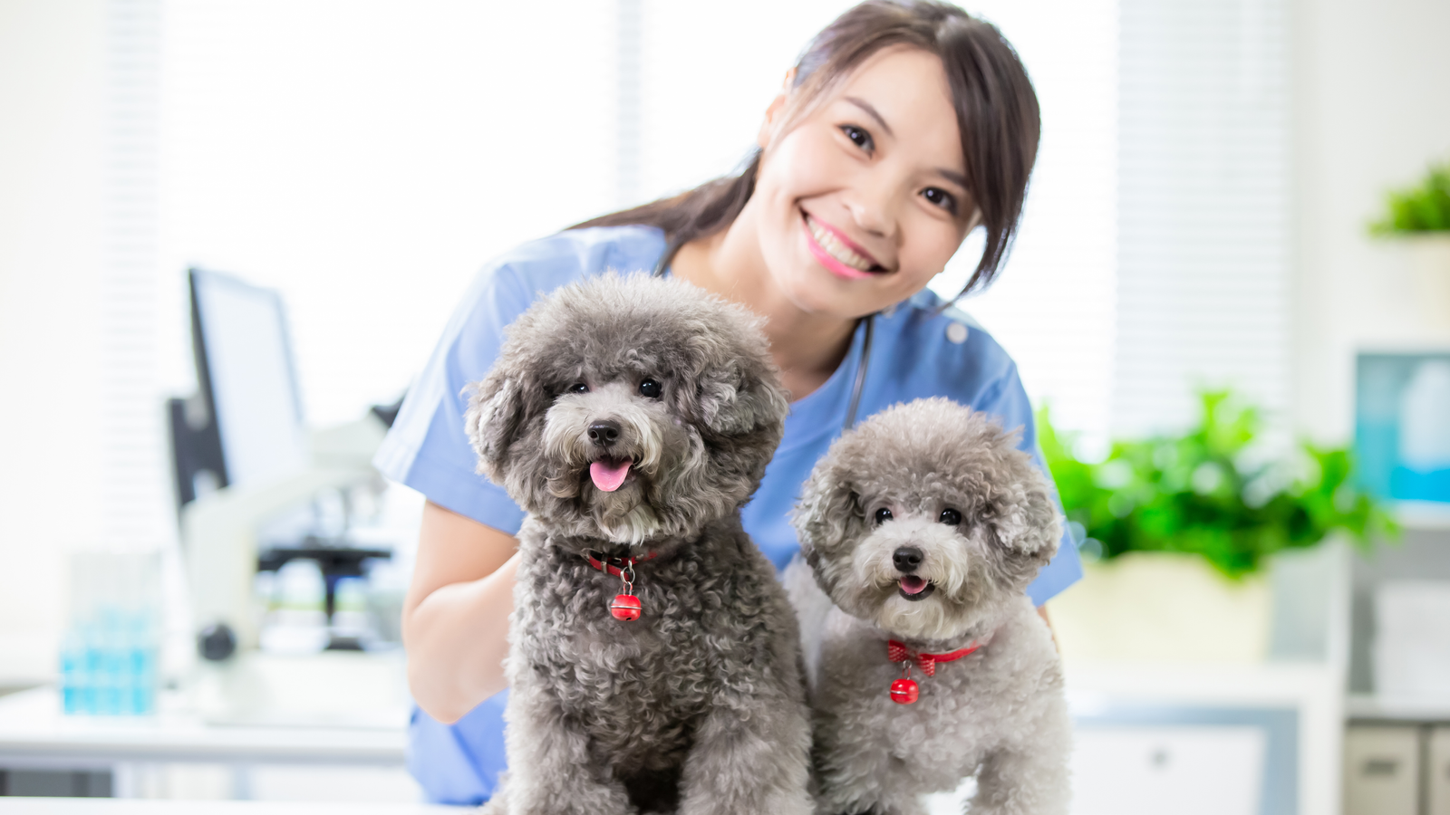Veterinary